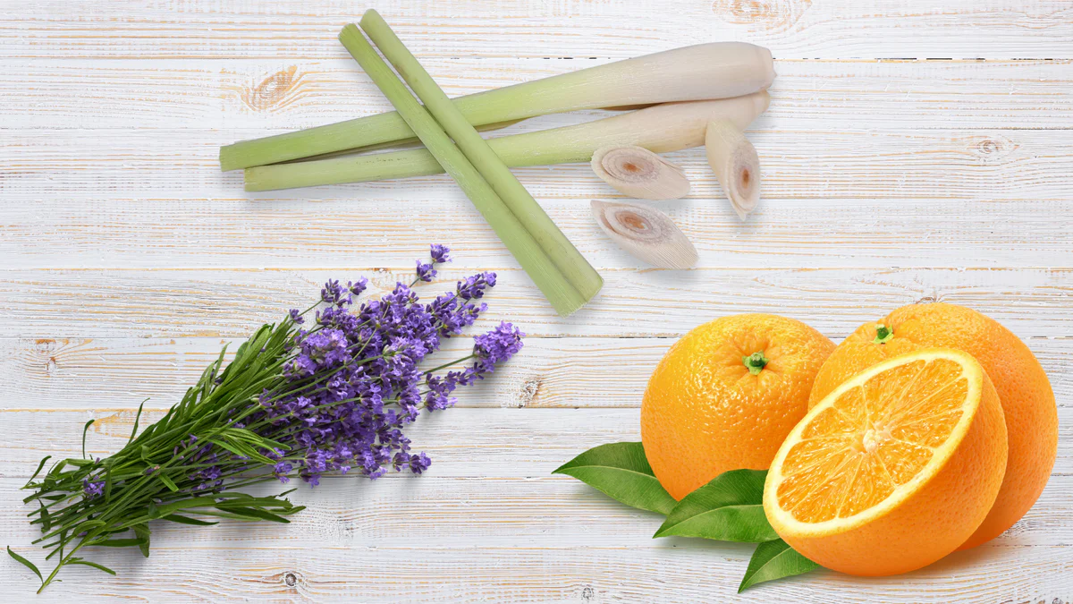 3 Irresistible Aromas That Symbolise A Clean And Welcoming Home