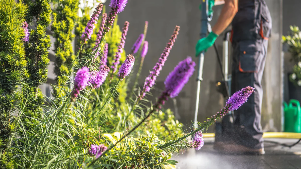 How Do I Prepare My House For Spring in 5 Simple Steps?